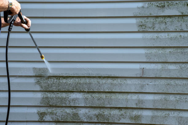 Best Property Management Cleanouts  in Mojave, CA
